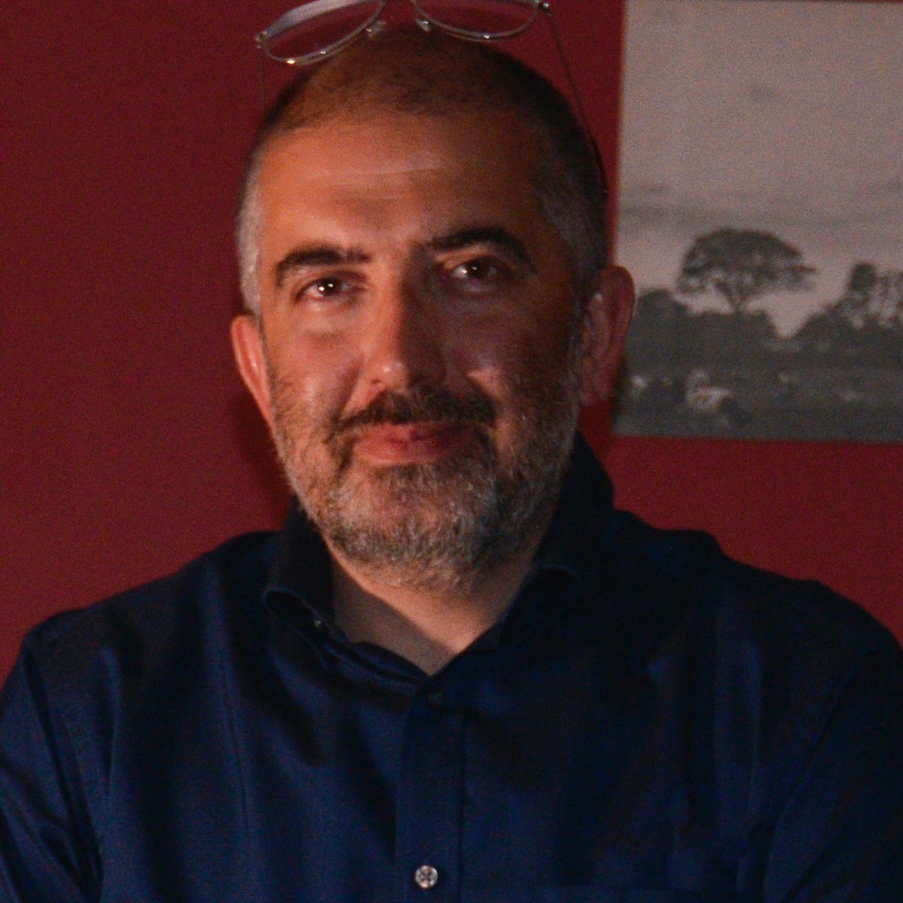 Tufan Palalı